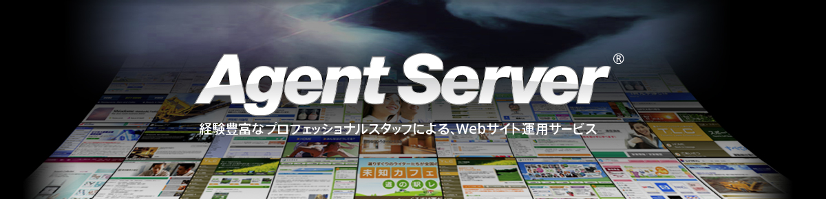 Agent Server 経験豊富なプロフェッショナルスタッフによる、Webサイト運用サービス