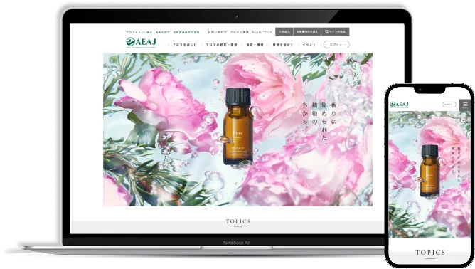 aeaj website