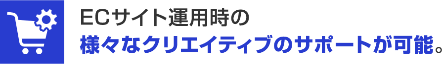 ECサイト運用事の様々なクリエイティブのサポートが可能。