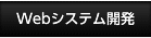 Webシステム開発